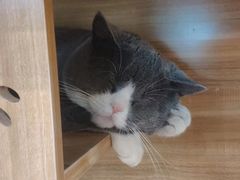 -网鱼电竞·棋牌(五一广场店)