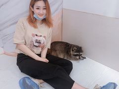 -浣熊柯尔鸭土拨鼠·电玩咖