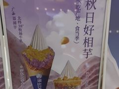 -波比艾斯(步步高梅溪新天地店)