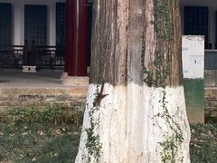 -南岳衡山风景名胜区-南岳大庙