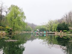 -棒棰岛宾馆景区