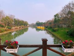 -上海海湾国家森林公园