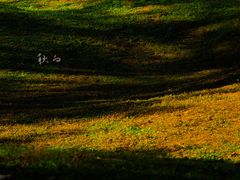 -杭州植物园