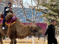 -华夏文旅海洋公园