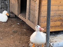 -HERRE·FARM 赫尔露营农场·团建聚会包场