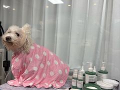 -爱派特动物医院·全科诊疗中心