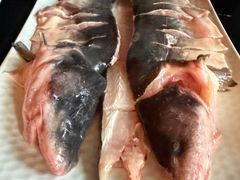 -宽坐·友谊宾馆店