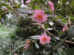 -杭州黄龙洞