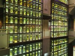 -广东中医药博物馆