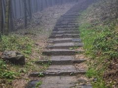 -莫干山风景区