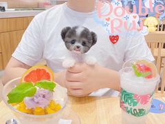 -Double Rui宠物酒店