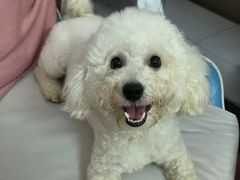 -芭比堂动物医院·24小时·眼科中心(深圳中心)