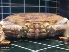 -巧克力渔家.小船海鲜家常菜(三浴场店)