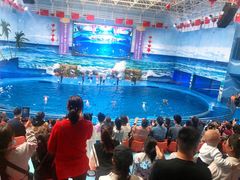 -多彩贵州城极地海洋世界