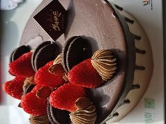 -维尔纳斯·生日蛋糕·动物奶油冰淇淋蛋糕(六里桥店)