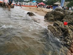 -八沟羊汤(河北大街店)