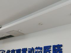 -北京观赏动物医院·24小时大型综合·猫专科·异宠专科