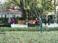 -徐家汇源景区-衡山公园