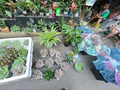 -循礼门鲜花花市(武汉循礼门店)