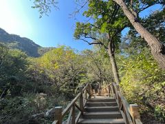 -大岭沟猕猴桃谷风景区