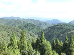 -武陵山森林公园