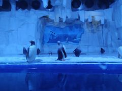 -华夏文旅海洋公园