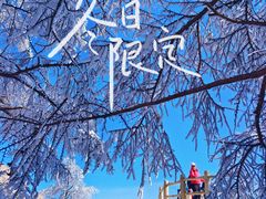 -崂山巨峰游览区