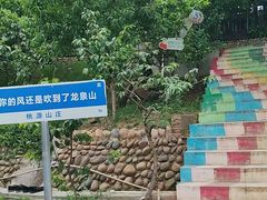 -桃源山庄·水蜜桃采摘·柴火鸡·烧烤团建(龙泉山店)