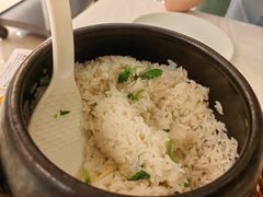 -饭怕鱼·黄焖鲟龙鱼(湖大店)