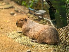 -可伦宾野生动物保护区