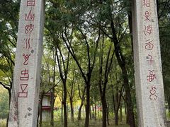 -北京十三陵国家森林公园蟒山景区