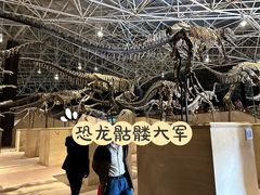 -世界恐龙谷景区