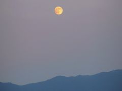 -东钱湖旅游度假区