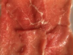 -红鼎坊·老成都火锅(新南门店)