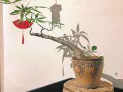 -成川茶店·潮汕工夫浓茶(万象店)