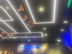 -blue frog蓝蛙(长泰广场店)