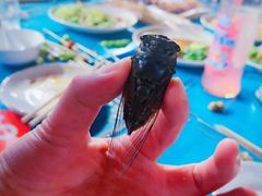 -玉园烧烤·海鲜辣炒