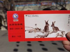 -白云观