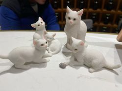 -香遇沙龙香水·调香·团建