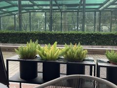 -星巴克臻选(宁波世纪东方广场店)