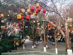 -天目湖山水园
