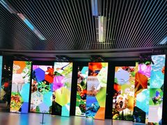-深圳市当代艺术与城市规划馆