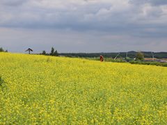 -鴜鹭湖生态旅游度假区