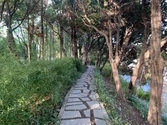 -嘉定紫藤园