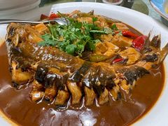 红烧鮰鱼-品大三(大行宫店)