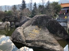 -三塔倒影公园
