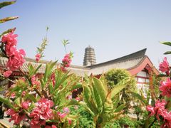-法门文化景区