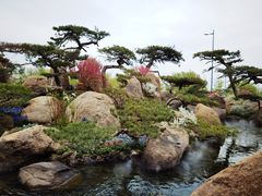 -罗红摄影艺术馆