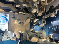 -宜家家居(四元桥商场店)