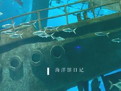 -福州罗源湾海洋世界旅游区